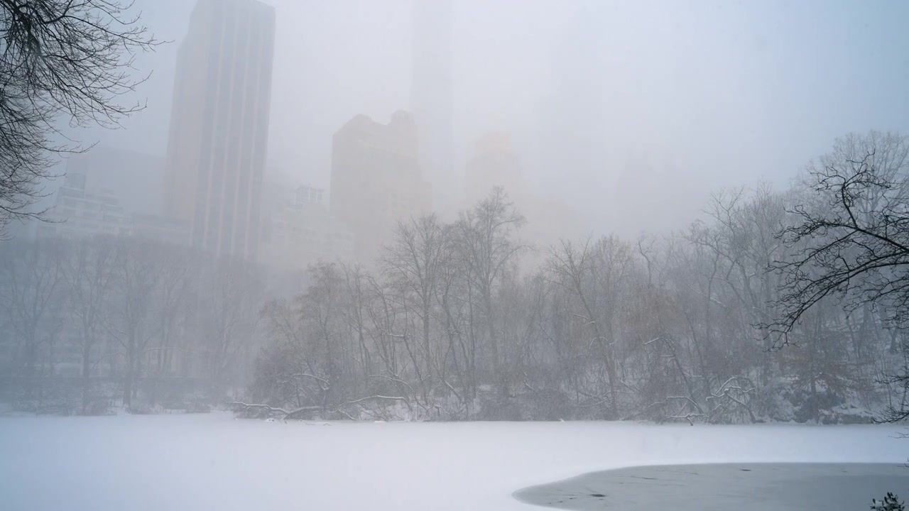 Frossen Central Park-sø under kraftig snestorm i Manhattan. Sneklædt frossen sø i Central Park