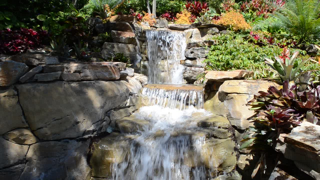 Cascate nel parco, intorno a una pianta. Orlando, USA. SeaWorld è il parco marino che include parchi di mammiferi, oceanari, parchi di animali marini e parchi divertimento.