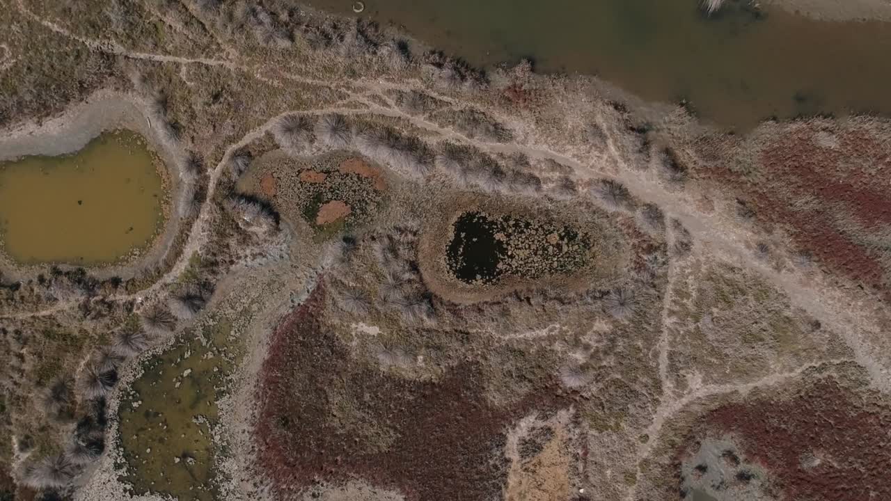 Overhead drone shot of a swamp close to delta of Axios river in Thessaloniki-Northern Greece