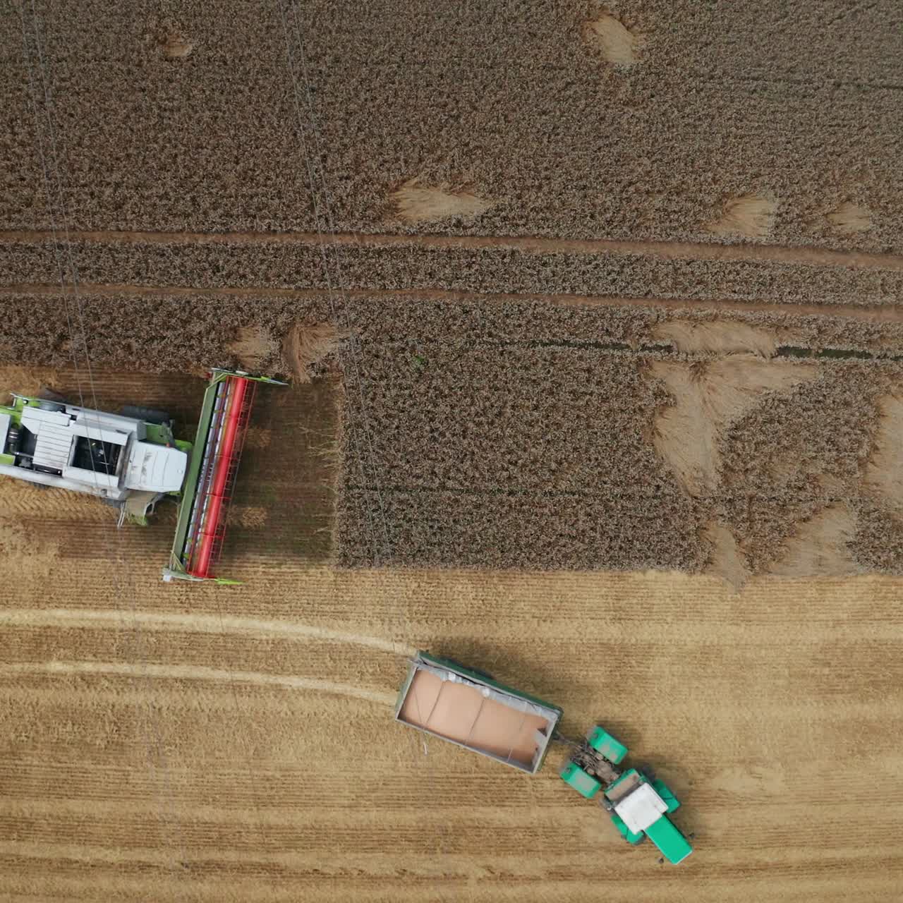 Harvester has downloaded grain into tractor. Full truck leaving the field and combine continuing work. Bird eye view