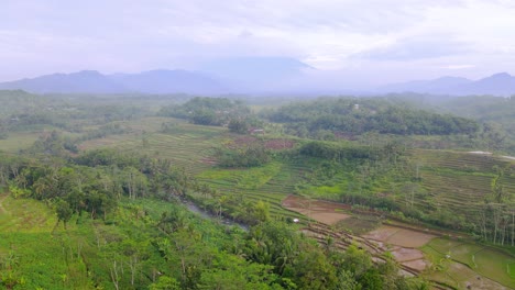 Aeriall-dolly-in-over-rural-the-tropical-rice-terraces-landscape-of-Bali-at-day-time,-Indonesia