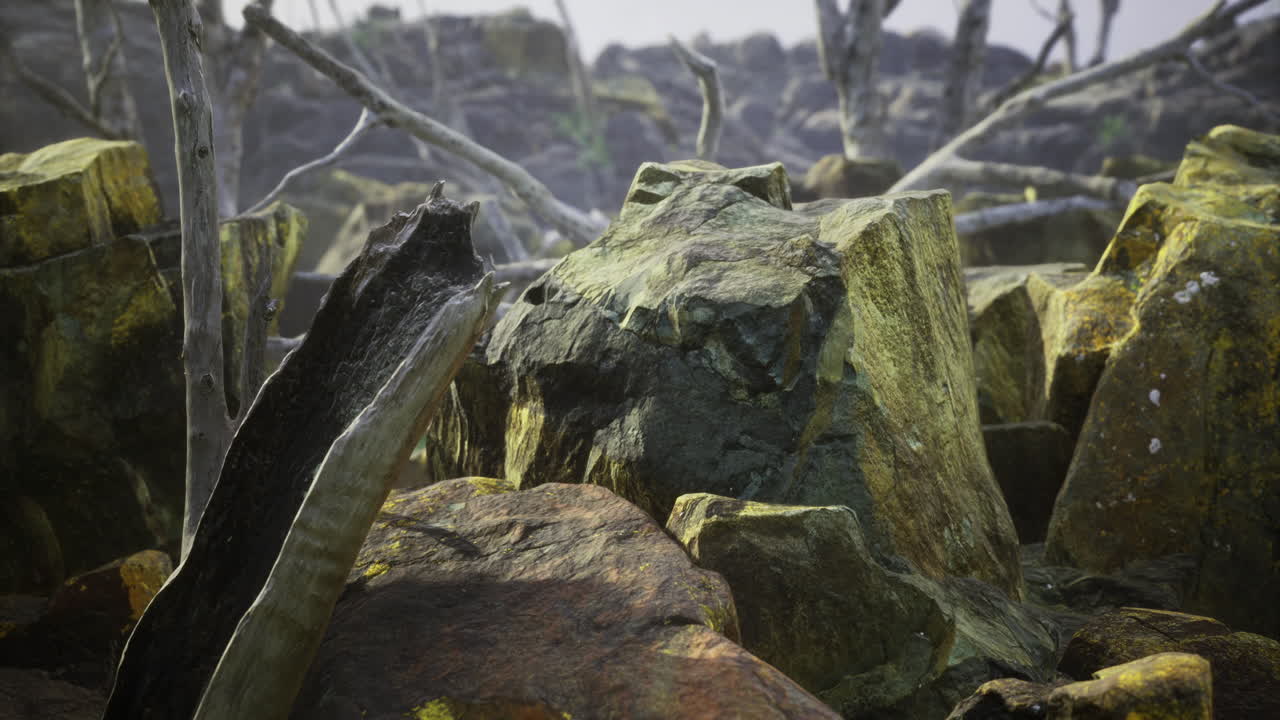 Rocky terrain with weathered stones and dry branches in a rugged landscape