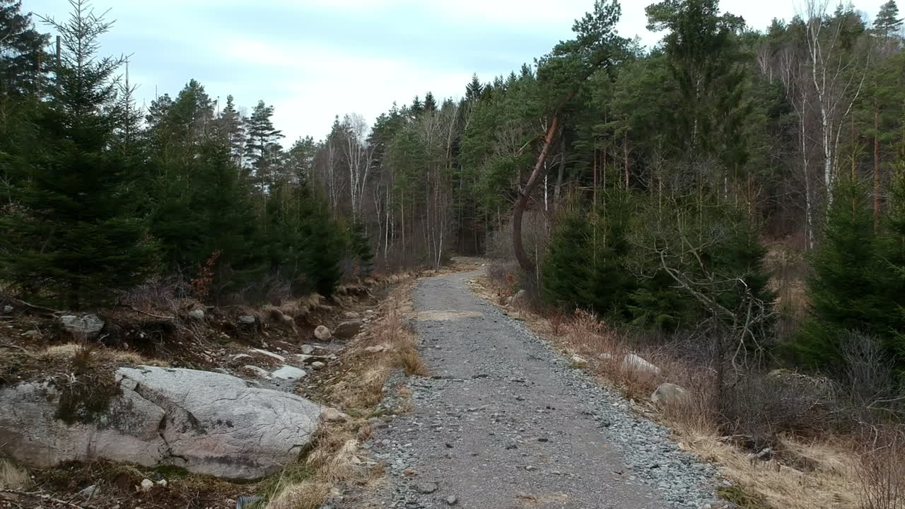 Bevæger sig langsomt over en grusbelagt vej i den svenske skov. Langsom bevægelse på en halvregnfuld dag