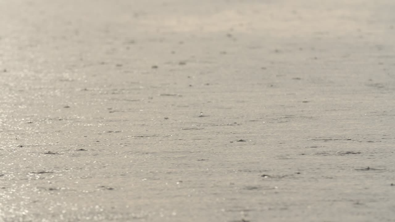Close-up of raindrops falling in slow motion on the Negro River in the Amazon rainforest.