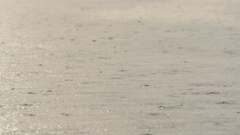 close-up of raindrops falling in slow motion on the negro river in the amazon rainforest.