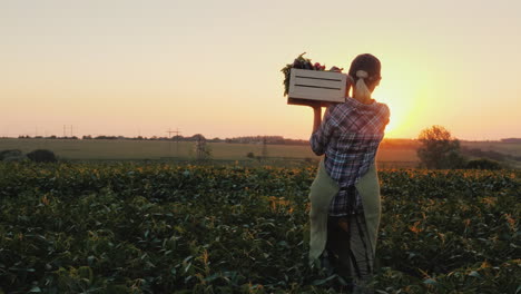 una agricultora con una caja de verduras frescas camina por su campo comiendo sano y vegeta fresca