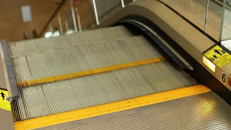 escalator steps moving at melbourne museum