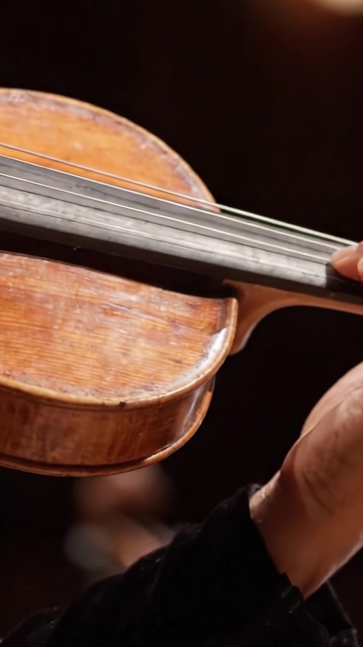 Esibizione accattivante con un musicista esperto che suona uno strumento a corda con grazia e precisione, mettendo in mostra la bellezza dell'arte musicale dal vivo.
