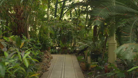 Tropical-Greenhouse-Botanic-Gardens-in-Dublin,-Ireland-on-sunny-day