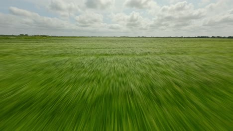 Drones-De-Alta-Velocidad-Volando-A-Baja-Altura-Sobre-Campos-De-Hierba-En-Una-Zona-Rural-De-Los-Países-Bajos