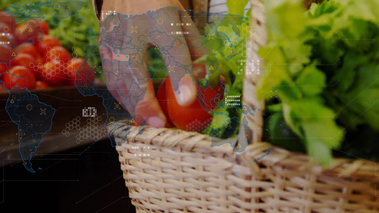 Hand placing tomato in basket with world map and data processing animation