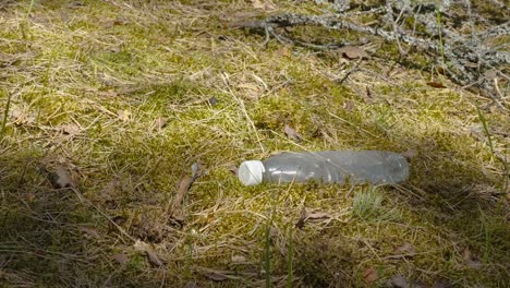 the plastic waste thrown on the forest ground in estonia