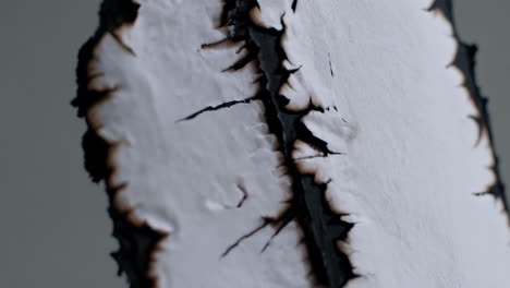 abstract burning paper