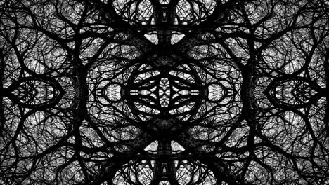 trees in symmetry - loopable