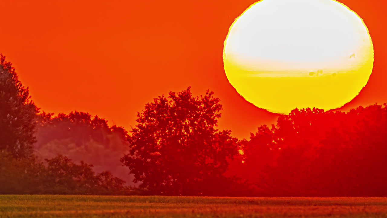 생생한 오렌지색 해가 지는 나무 뒤에 빛나는 하늘과 실루으로 침몰하여 조용한 풍경을 만니다.