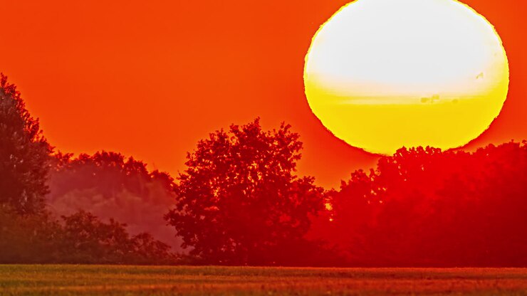 Levende orange solnedgang synker bag træer med glødende himmel og silhuetter, skaber en fredfyldt udsigt, timelapse