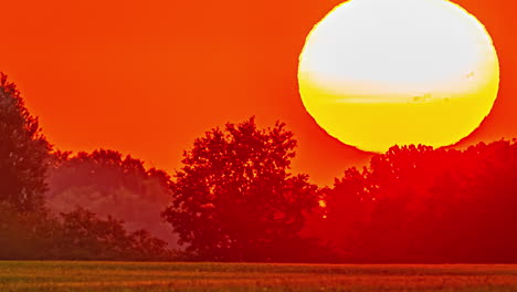 een levendige oranje zonsondergang zinkt achter bomen met gloeiende hemel en silhouetten, waardoor een rustig uitzicht, timelapse