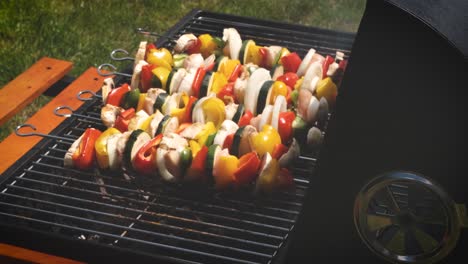 colorful and tasty grilled shashliks on outdoor summer barbecue