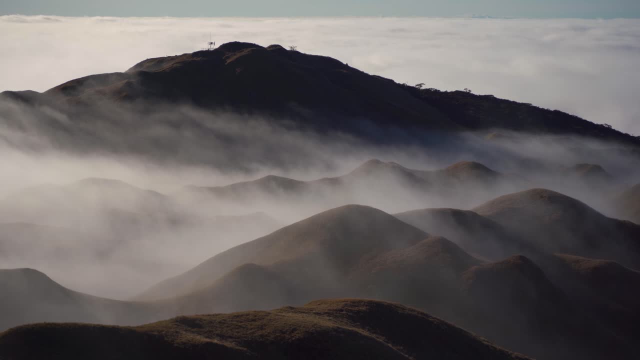 Mystic forest fog in mountain Mt. Pulag Philippines