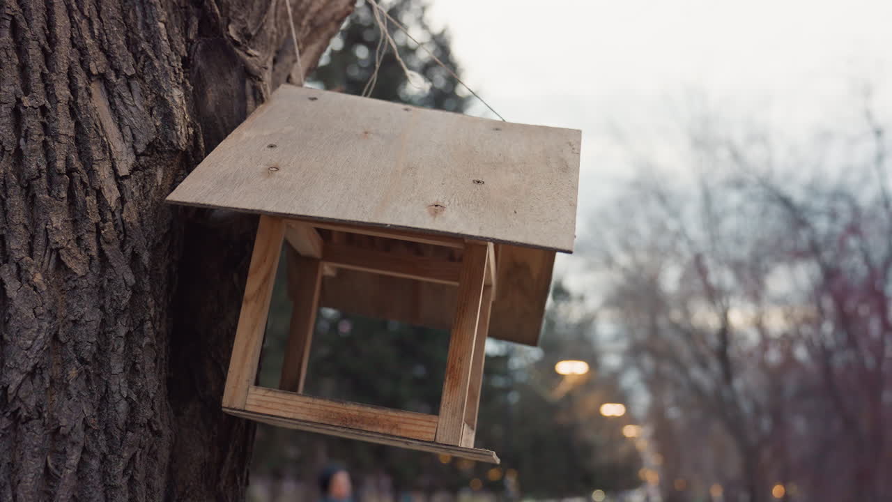 Wooden birdhouse attached to tree trunk in quiet park setting during evening time with soft blurred background of trees and lights, capturing peaceful outdoor nature scene in low light