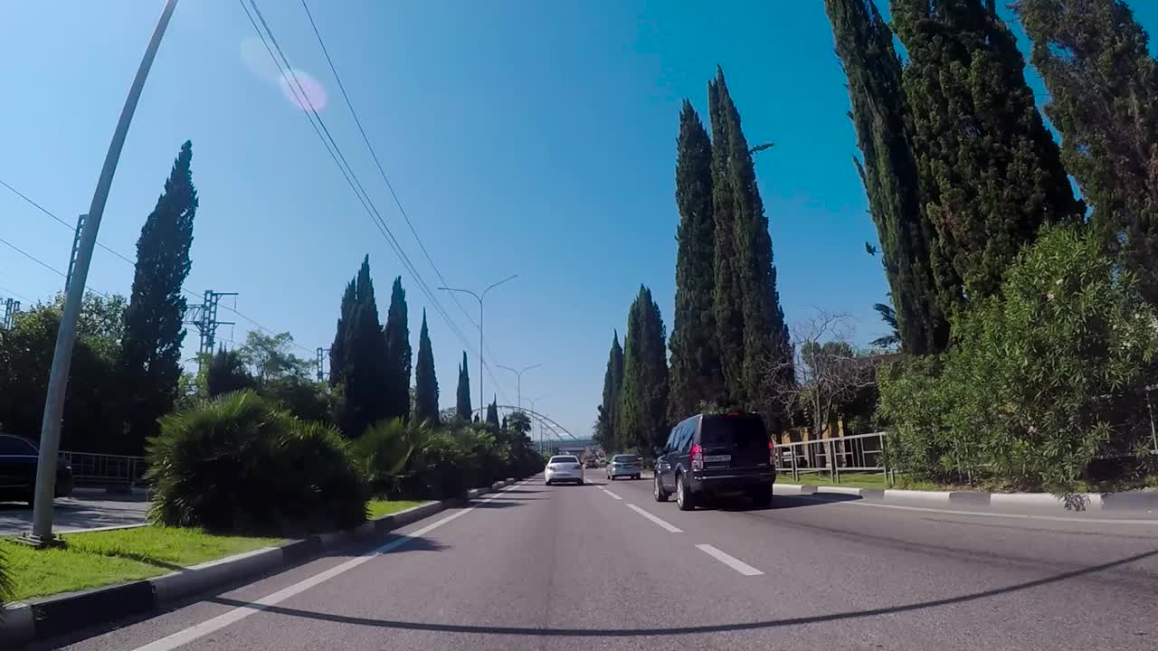 나무 와 다리 가 있는 도시 도로