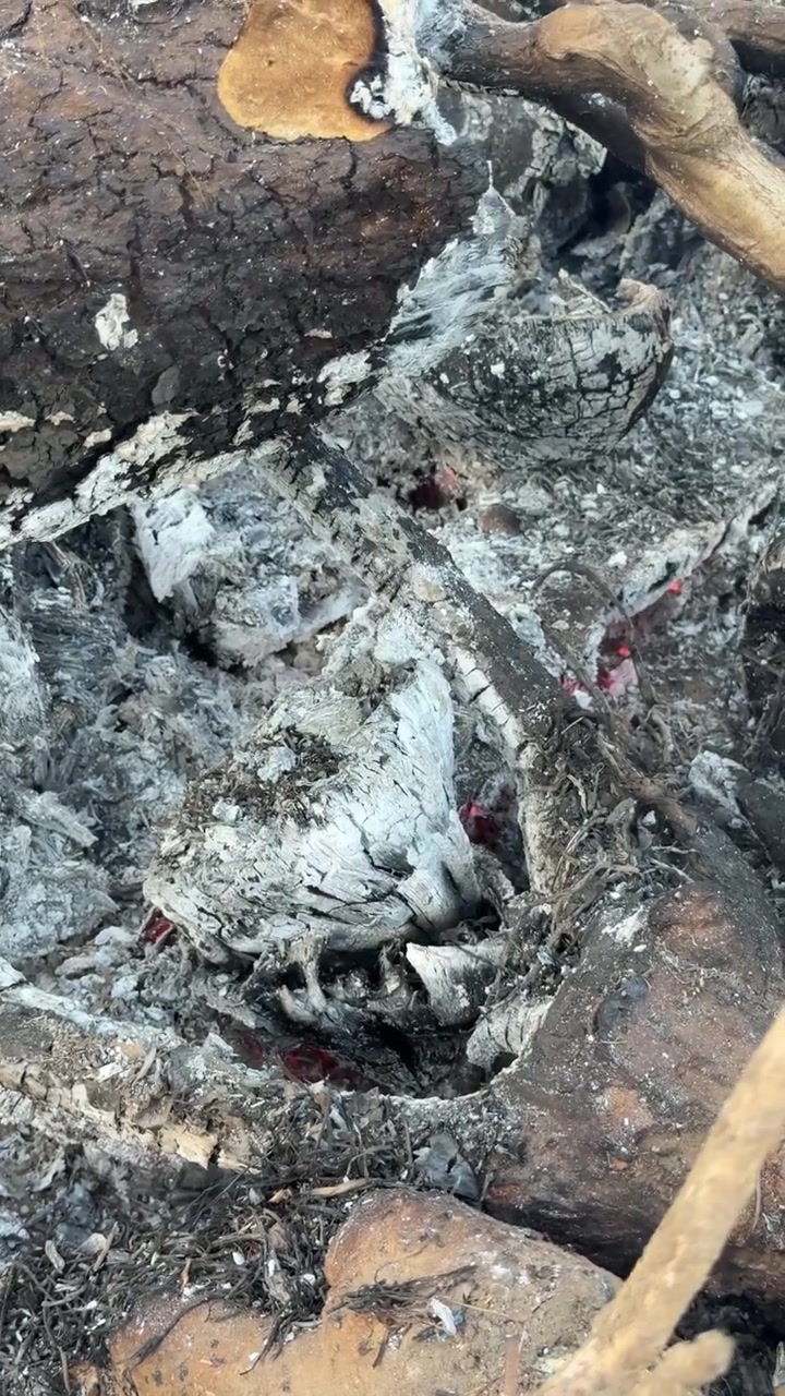 Braci ardenti e cenere in un falò che si sta spegnendo