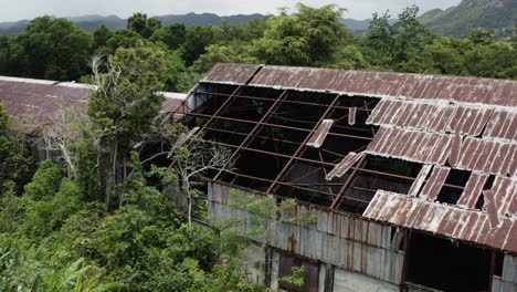 aerial view over an old abandoned factory in the heart of the jungle - hideout and drug smuggler type concepts