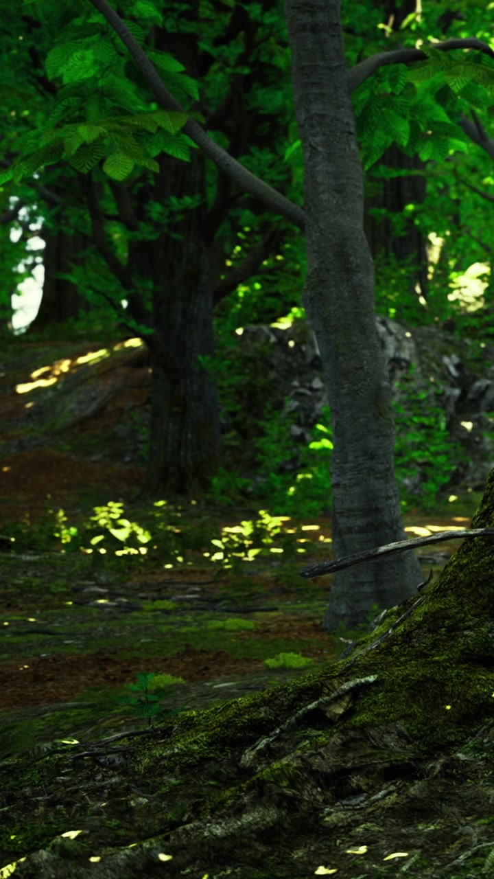Foresta verde brillante con la luce del sole che filtra tra gli alberi al mattino.
