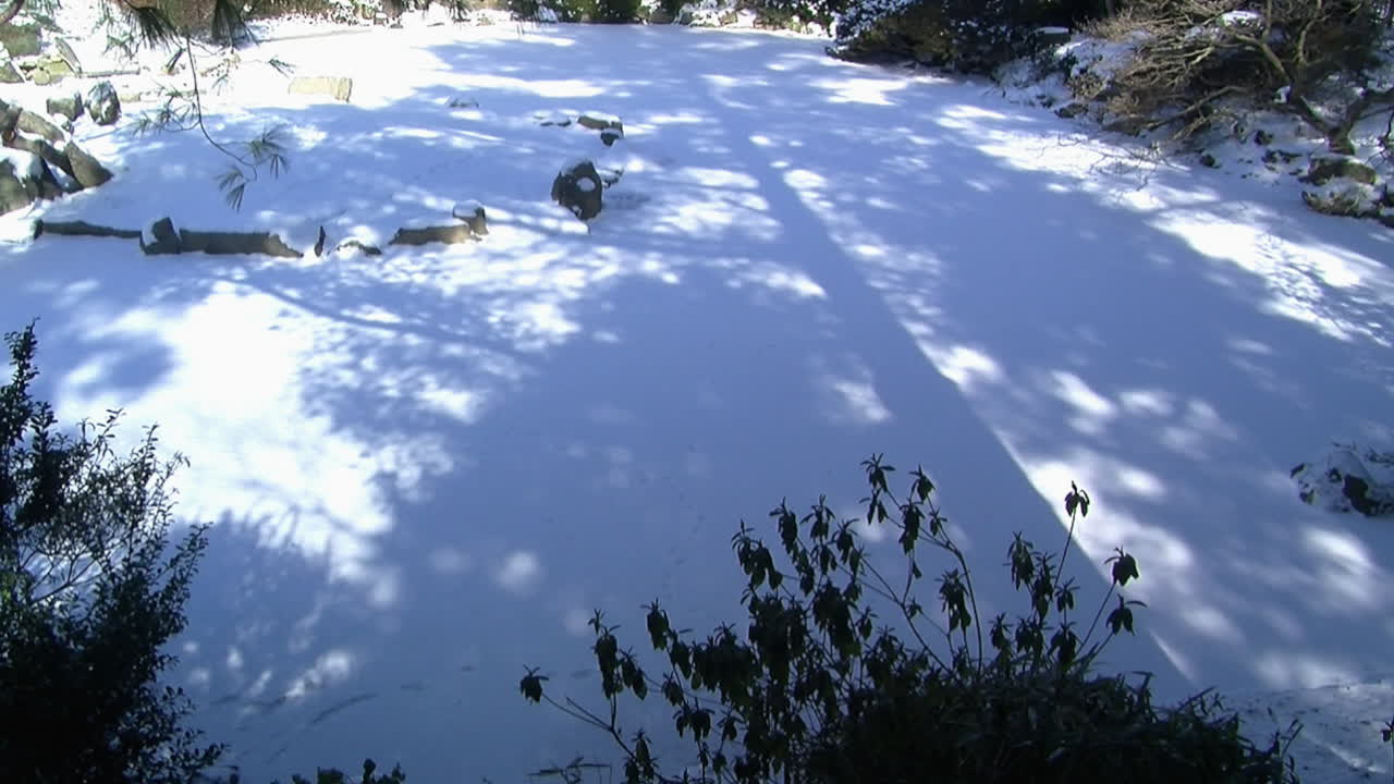 나무 그림자가 가로질러 떨어지는 얼어붙은 눈 덮인 연못