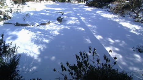 estanque cubierto de nieve congelada con sombra de árbol cayendo sobre él