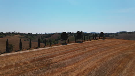 Aerial-view-of-plain-farm-lands-used-as-field-for-wineyard-surrounded-by-trees-and-mountains-under-a-clear-sky-at-Tuscany,-Italy