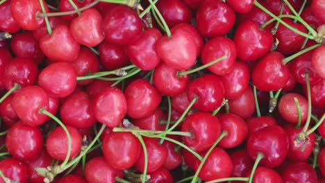 fresh juicy red cherry berry rotate. ripe freshly-picked cherries. healthy vegetarian food.