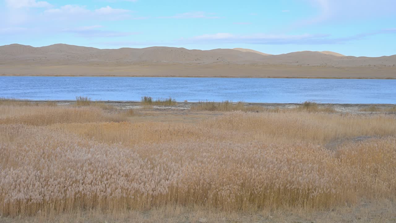 Scenic Lake Landscape with Sand Dunes and Grass