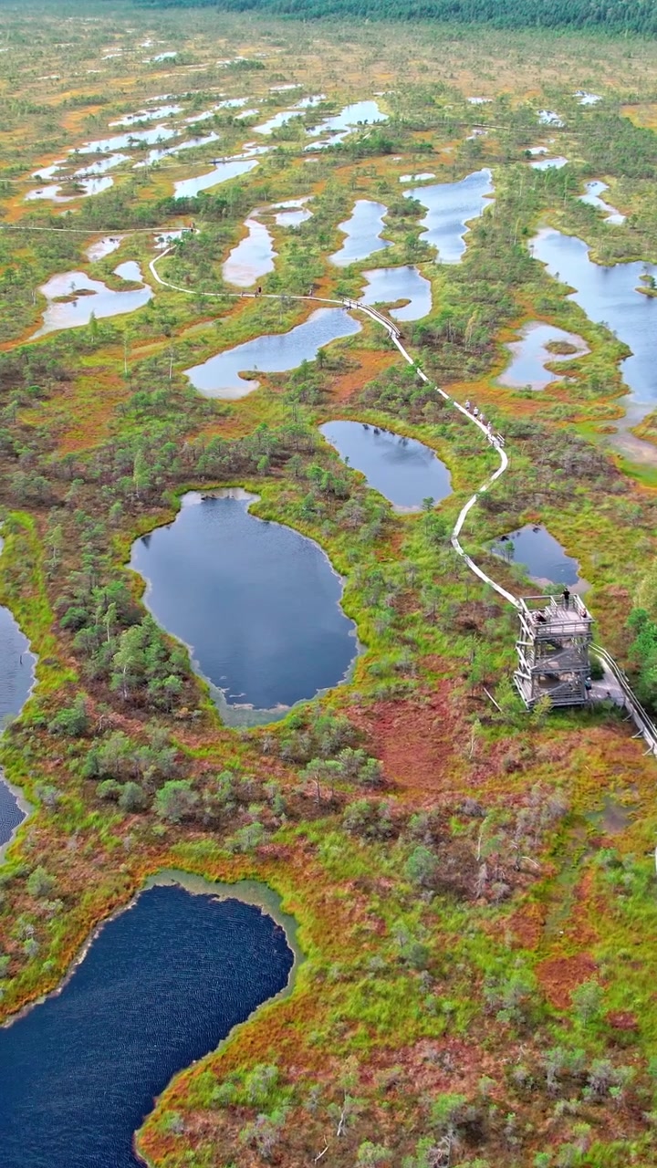 Explorando el paisaje aéreo único del pantano de Ķemeri en Letonia