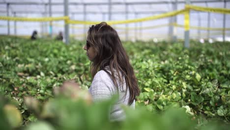 Close-Up-Of-Woman-Walking-In-Greenhouse