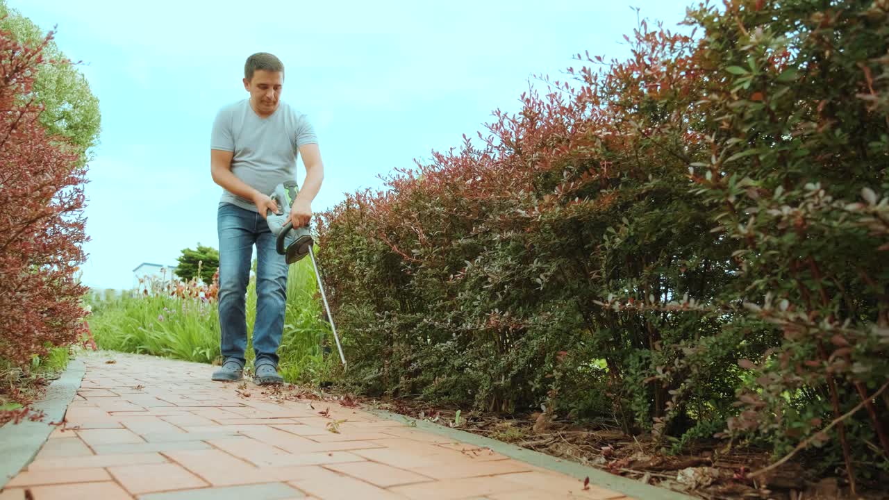 Gardener trimming hedge in green park with electric trimmer for hedge. Worker shaping bushy fence in the garden. Cutting shrub plant with orange electric trimmer in the backyard.