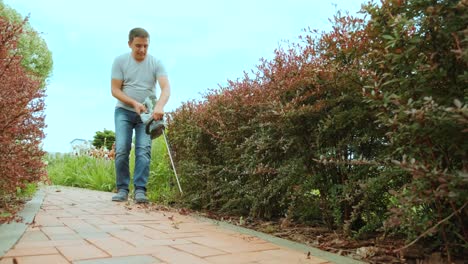 gardener trimming hedge in green park with electric trimmer for hedge. worker shaping bushy fence in the garden. cutting shrub plant with orange electric trimmer in the backyard.