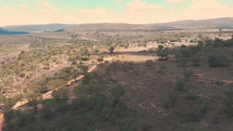 sombra sobre el paisaje boscoso de la sabana africana con camino de tierra