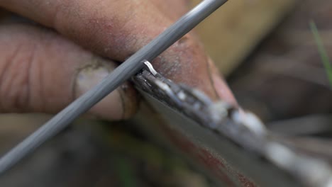 chainsaw tooth preparing for wood cutting