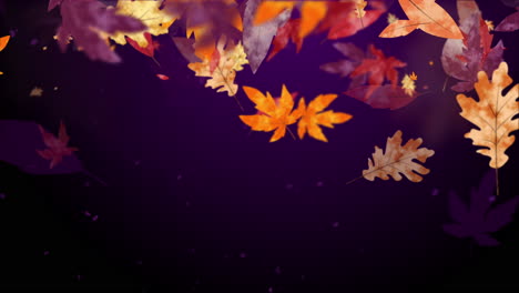 autumn dark purple background with bright yellow falling leaves. abstract looped motion graphics with blur. copy space.