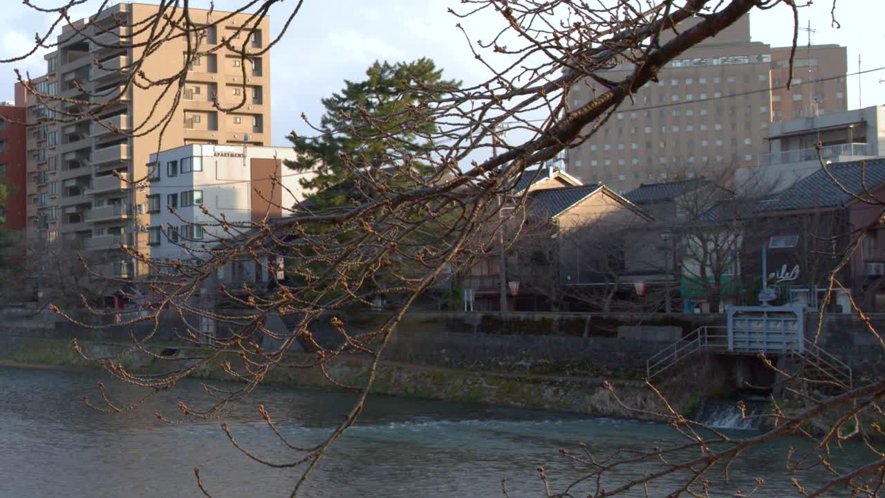 Un lento movimento di inclinazione verso l'alto rivela lo skyline di Kanazawa dietro rami di ciliegio in boccio e il fiume
