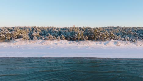 Aerial-establishing-footage-of-trees-and-beach-covered-with-snow,-sunny-winter-day-before-the-sunset,-golden-hour,-Nordic-woodland-pine-tree-forest,-Baltic-sea-coast,-wide-drone-shot-moving-forward