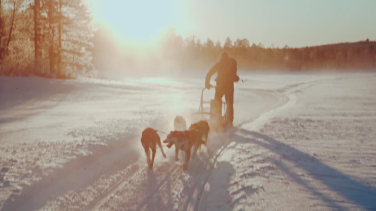 허스키와 함께 썰매를 타는 사람