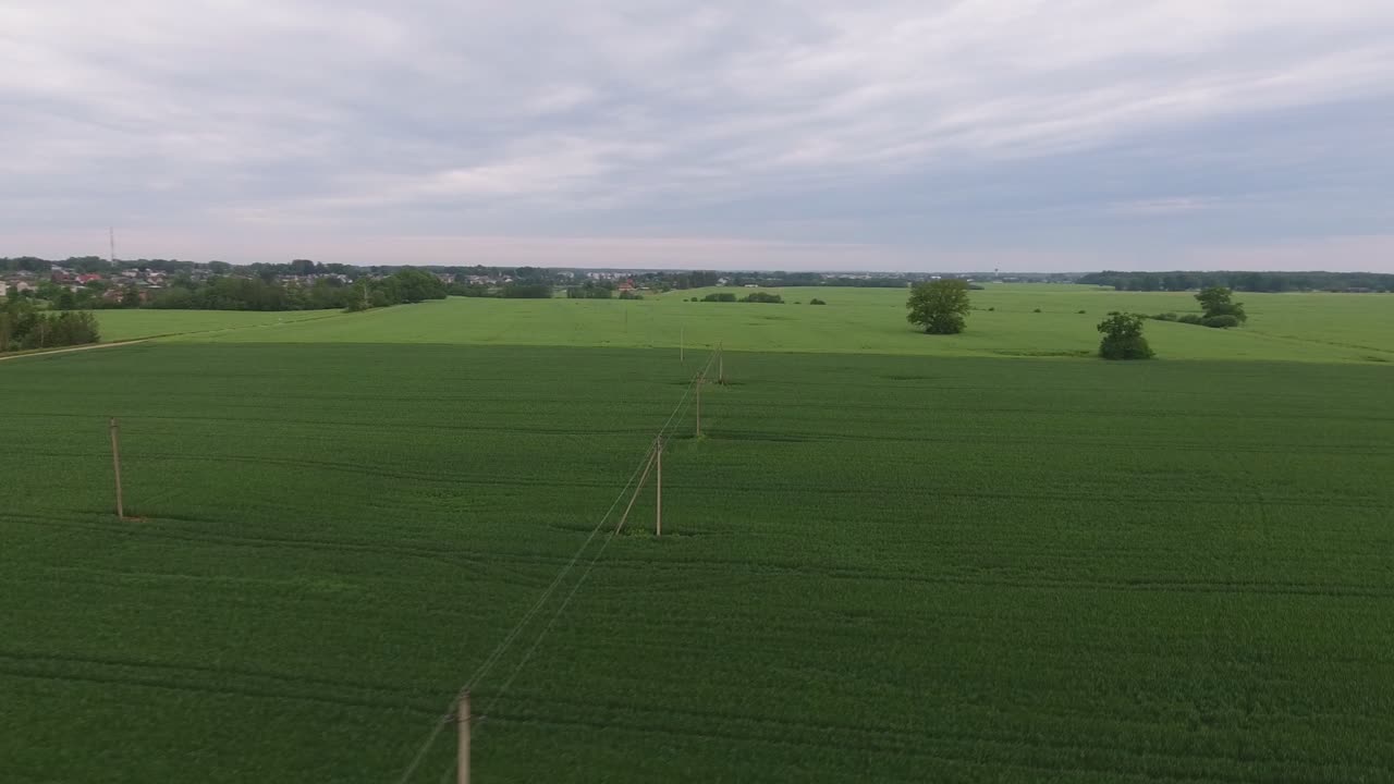 líneas de postes de suministro de energía en campos agrícolas verdes-1