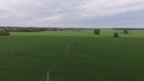 Líneas-De-Postes-De-Suministro-De-Energía-En-Campos-Agrícolas-Verdes-1