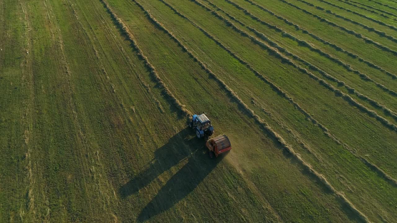 Vista aerea di un trattore imballatrice che produce balle di insilato su terreno agricolo, grano tagliato.