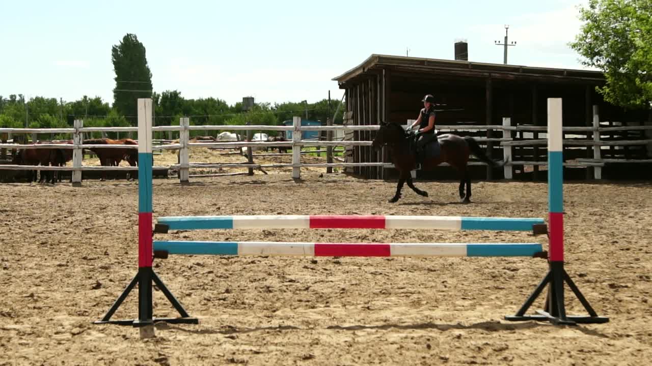 Horse Jumping Over Obstacles
