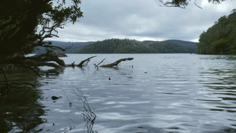 A-serene-low-angle-shot-captures-the-tranquil-beauty-of-a-pristine-lake,-inviting-you-to-immerse-in-the-calm-waters-and-the-scenic-reflections-of-nature's-canvas