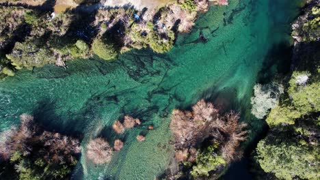 Deep-clean-river-surrounded-by-forest,-aerial-top-down-view