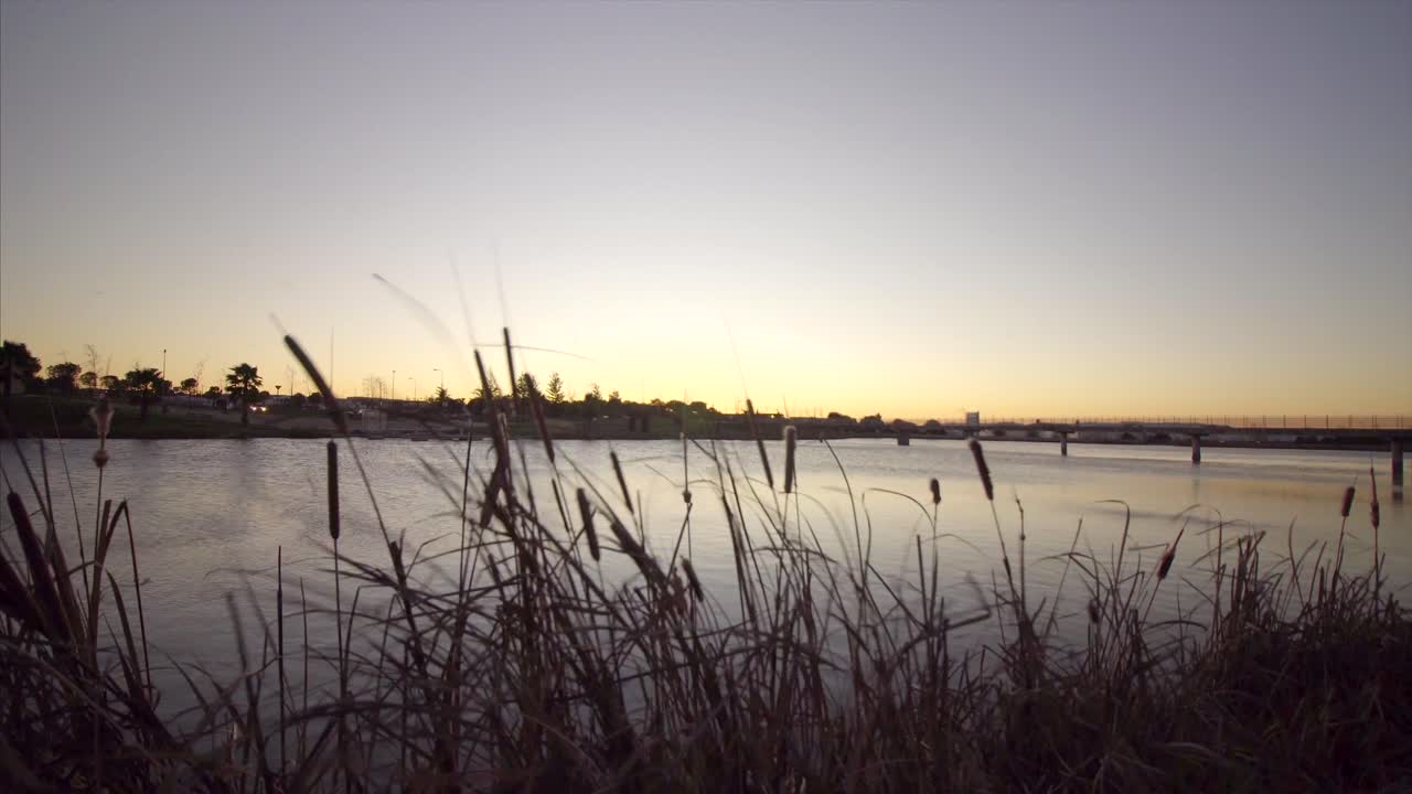 Reveal Of Lake - Pond From Behind Rushes In Autumn - Fall, In Slow Motion.